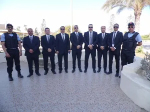 الاستشارات الامنية